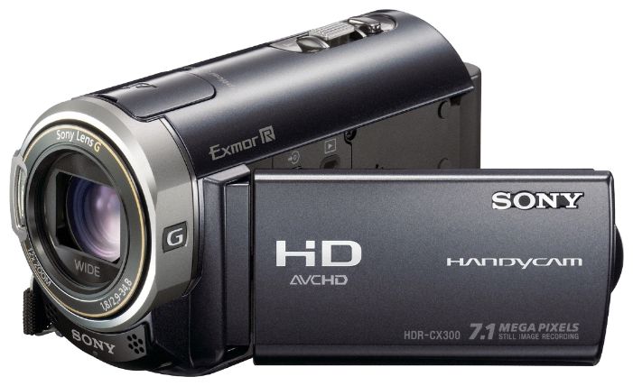 Sony HDR-CX300E